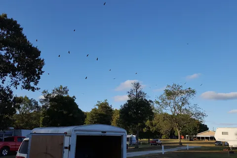 Deep Branch Family Campground