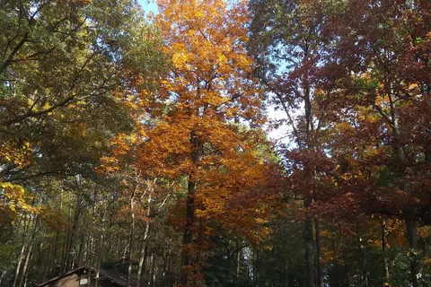 Deep Branch Family Campground