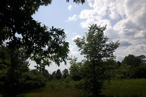 Loughborough Lake Holiday Park Campground