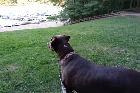 Little Switzerland Resort and Campground