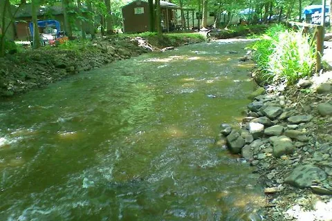Council Cup Campground