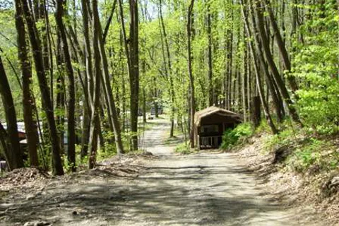 Council Cup Campground