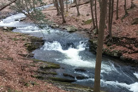 Council Cup Campground