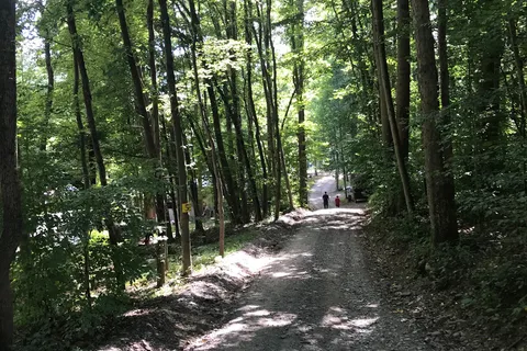 Council Cup Campground