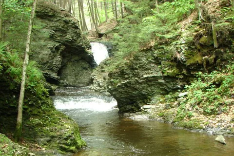 Council Cup Campground