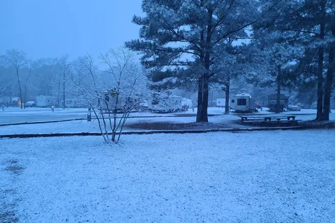 Timberline RV Park