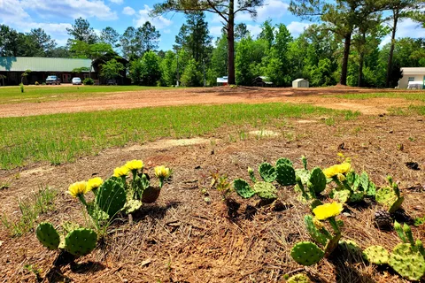 Timberline RV Park