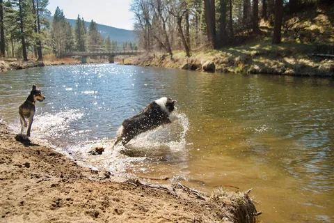 Clio's Rivers Edge RV Park