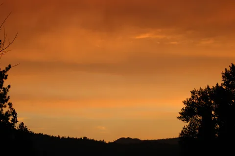 Clio's Rivers Edge RV Park