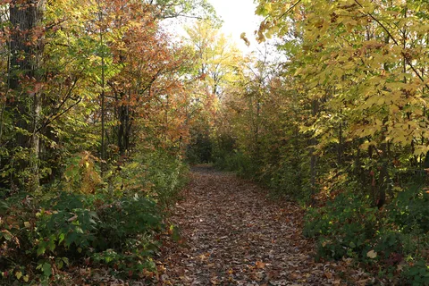 Rideau Acres Campground