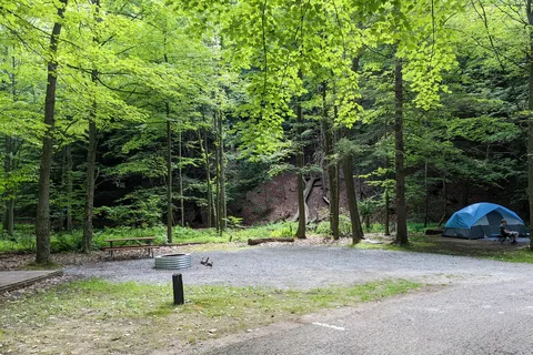 PJ Hoffmaster State Park