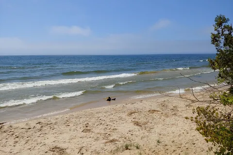 PJ Hoffmaster State Park
