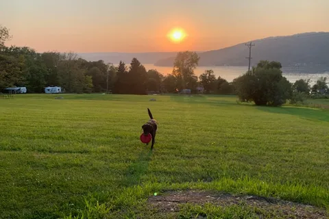 Lakeview Campsites
