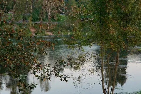 Woodland Shores RV Park