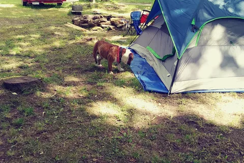 Pine Hill Campground And Cabins