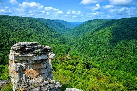 Blackwater Falls State Park