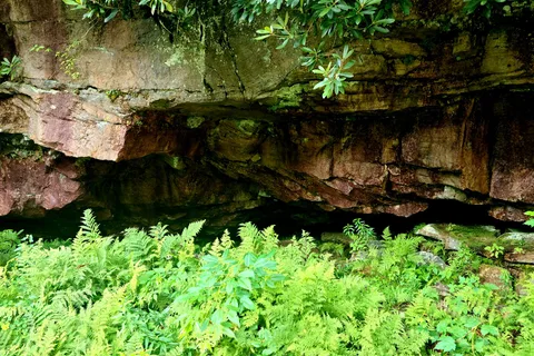 Blackwater Falls State Park
