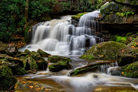 Blackwater Falls State Park