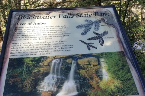 Blackwater Falls State Park