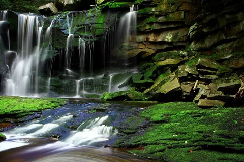 Blackwater Falls State Park