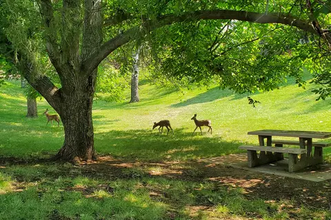 Woodhead Park - Idaho Power