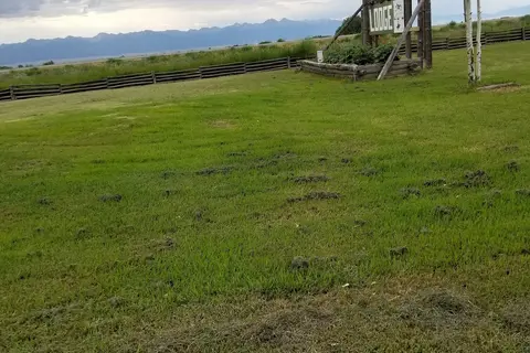 Saguache Creek Lodging and RV