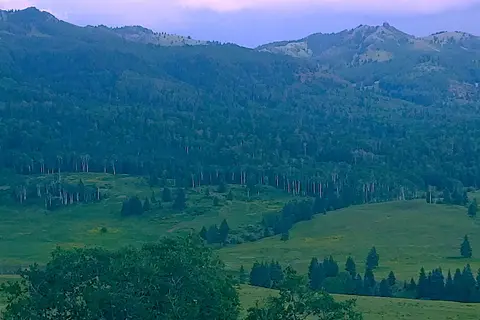 Saguache Creek Lodging and RV
