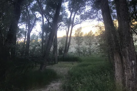 Dry Gulch - Curecanti National Recreation Area