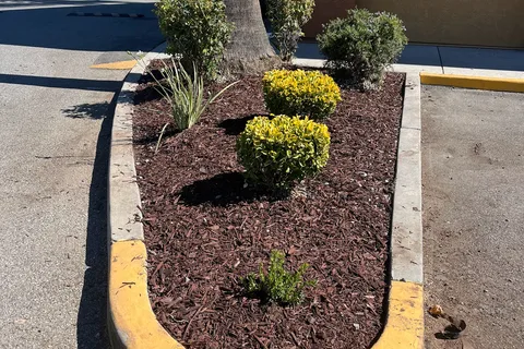 Gilroy Garlic USA RV Park