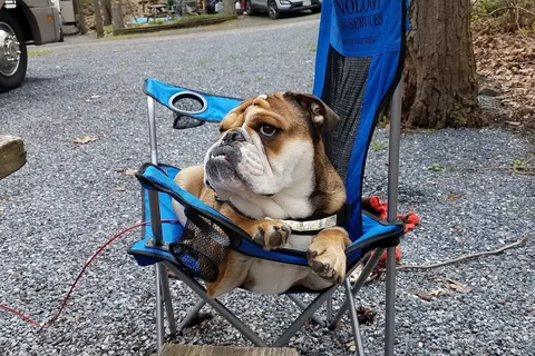 Rosemount Camping Resort