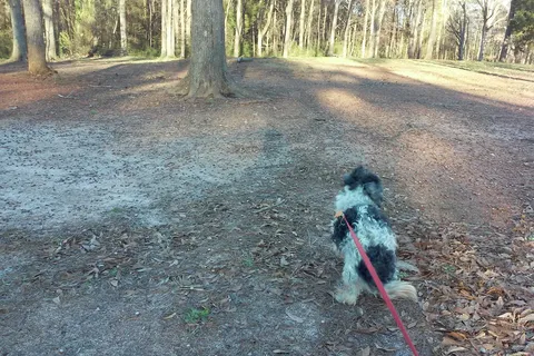Hounds Gateway Campground