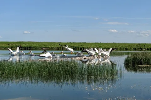 Dickson Point - Gleniffer Reservoir Provincial Recreational Area