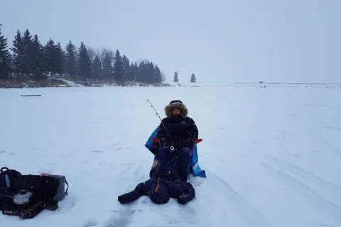 Dickson Point - Gleniffer Reservoir Provincial Recreational Area