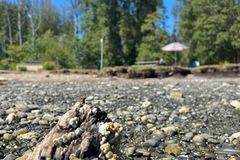 Potlatch State Park