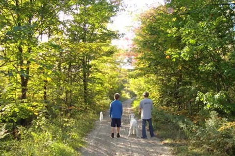 Parry Sound KOA Holiday