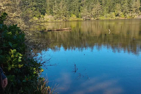 Fort Ebey State Park