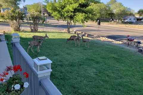 Westerner RV Park