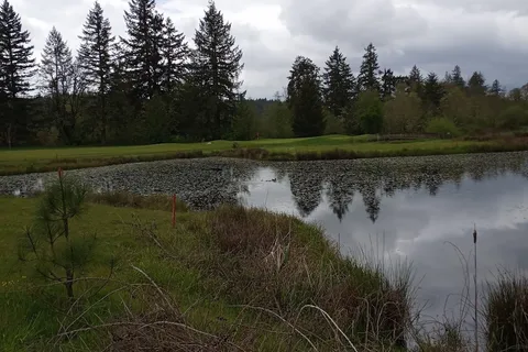 Mallard Creek Golf and RV Resort