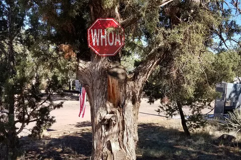 Arizona High Country Campground