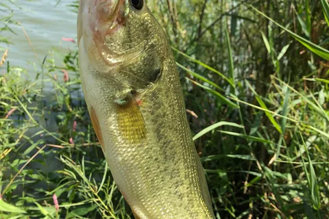 Olive Creek State Recreation Area