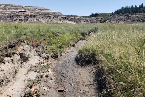 Horseshoe Canyon Campground