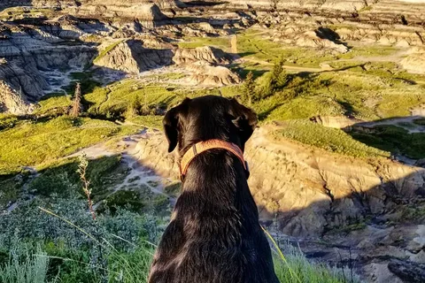Horseshoe Canyon Campground