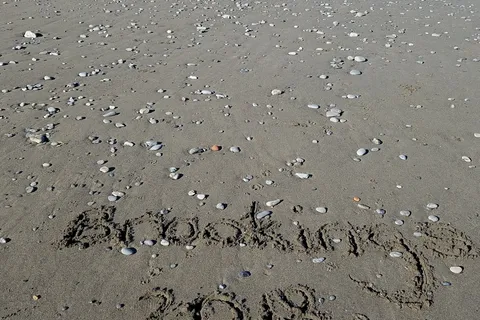 Sea Bird RV Park