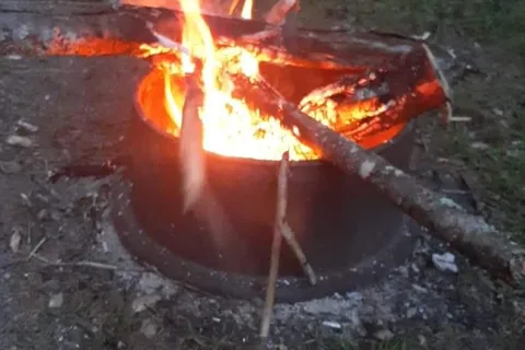 Shore Forest Campground
