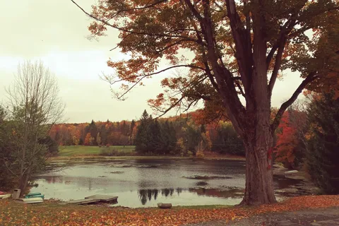 Shore Forest Campground