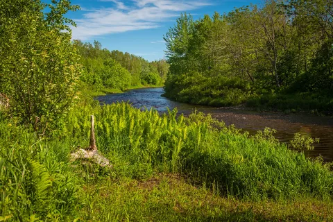 Durham Bridge RV Resort Ltd.