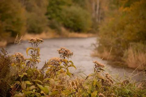 Durham Bridge RV Resort Ltd.
