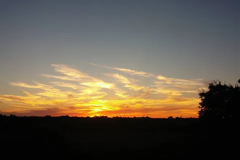 Country Oasis RV Park