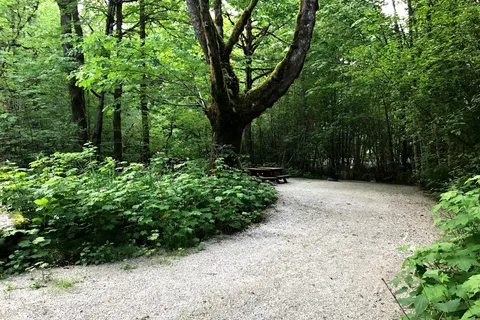 Paradise Valley Campground