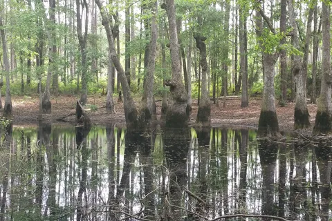 Blue Lake Camp and Retreat Center